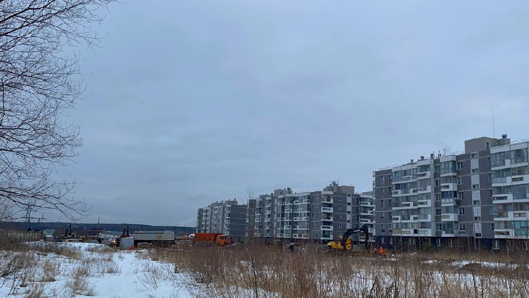 Одинцово, общество