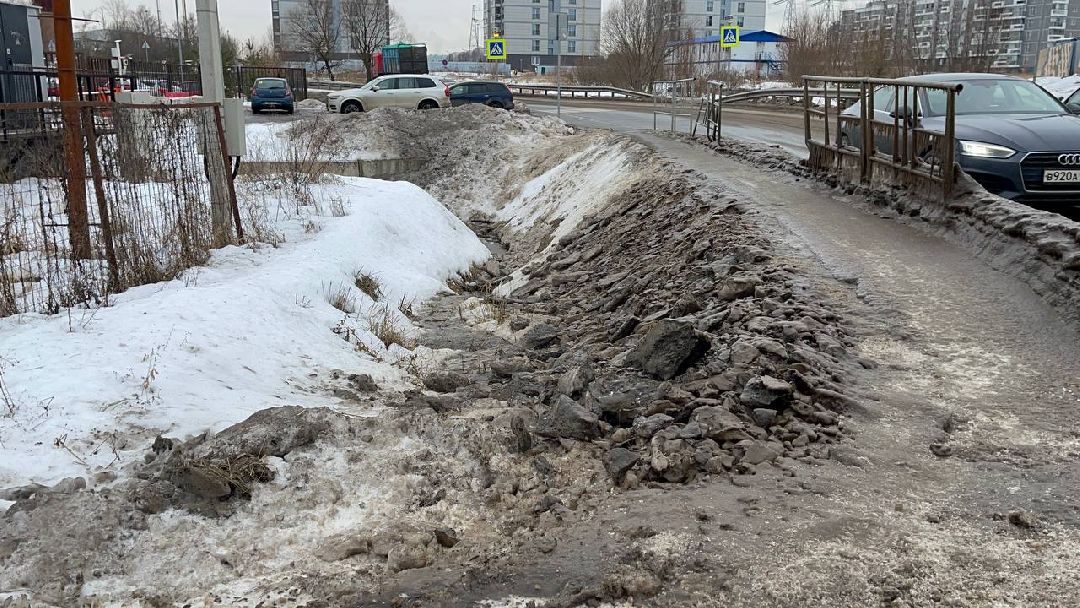 Одинцово, общество