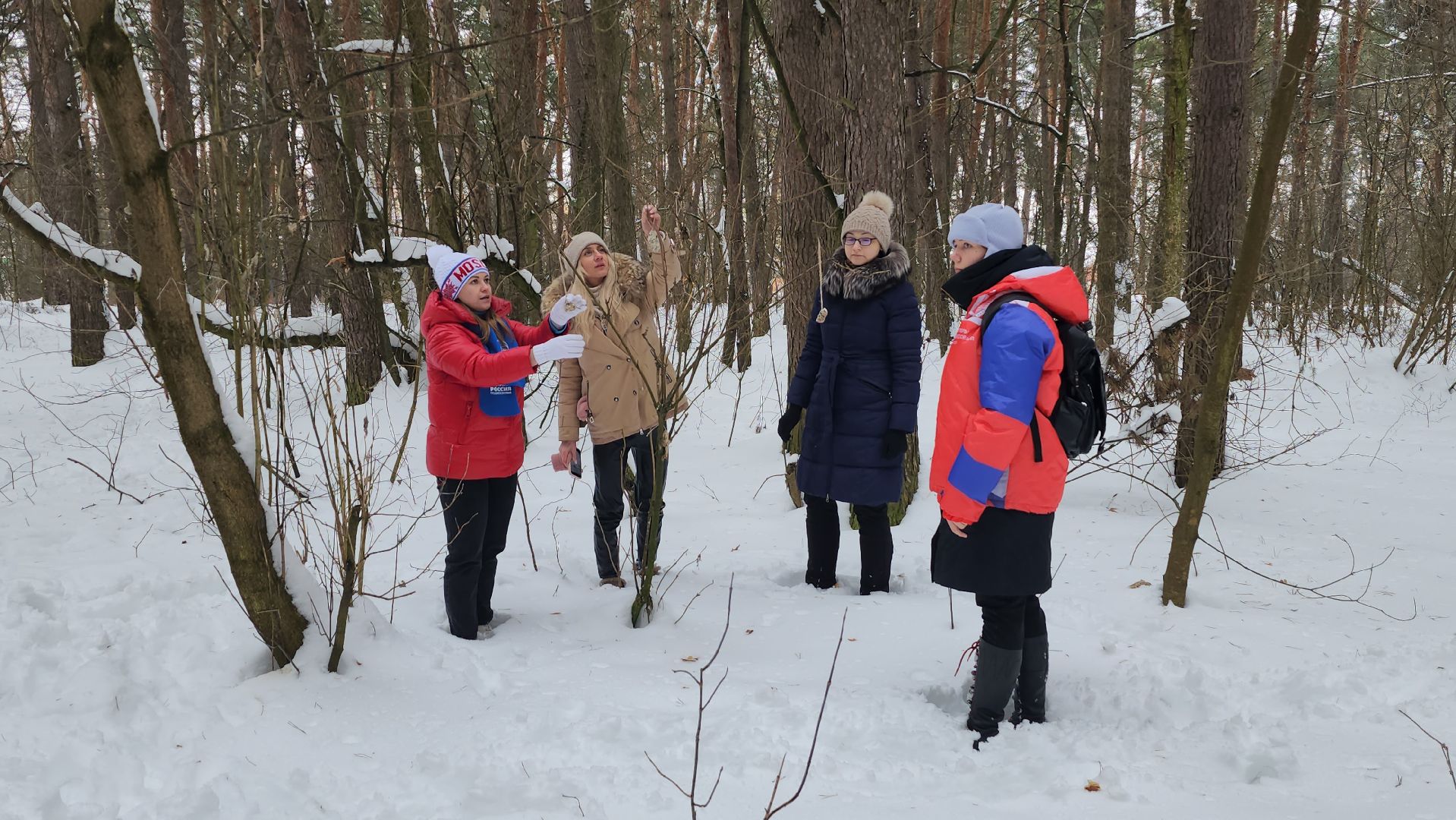 покорми птиц зимой, акция, экология, серпухов, молодежные активисты,