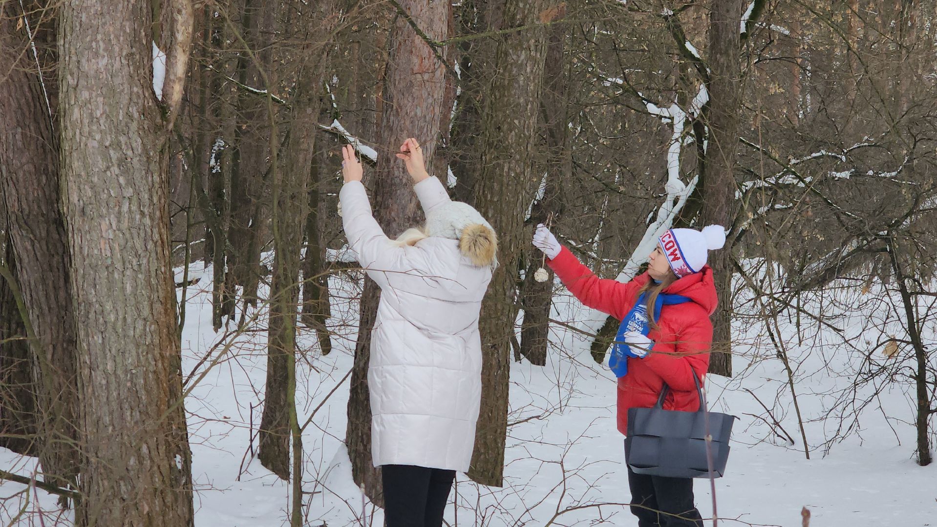 покорми птиц зимой, акция, экология, серпухов, молодежные активисты,