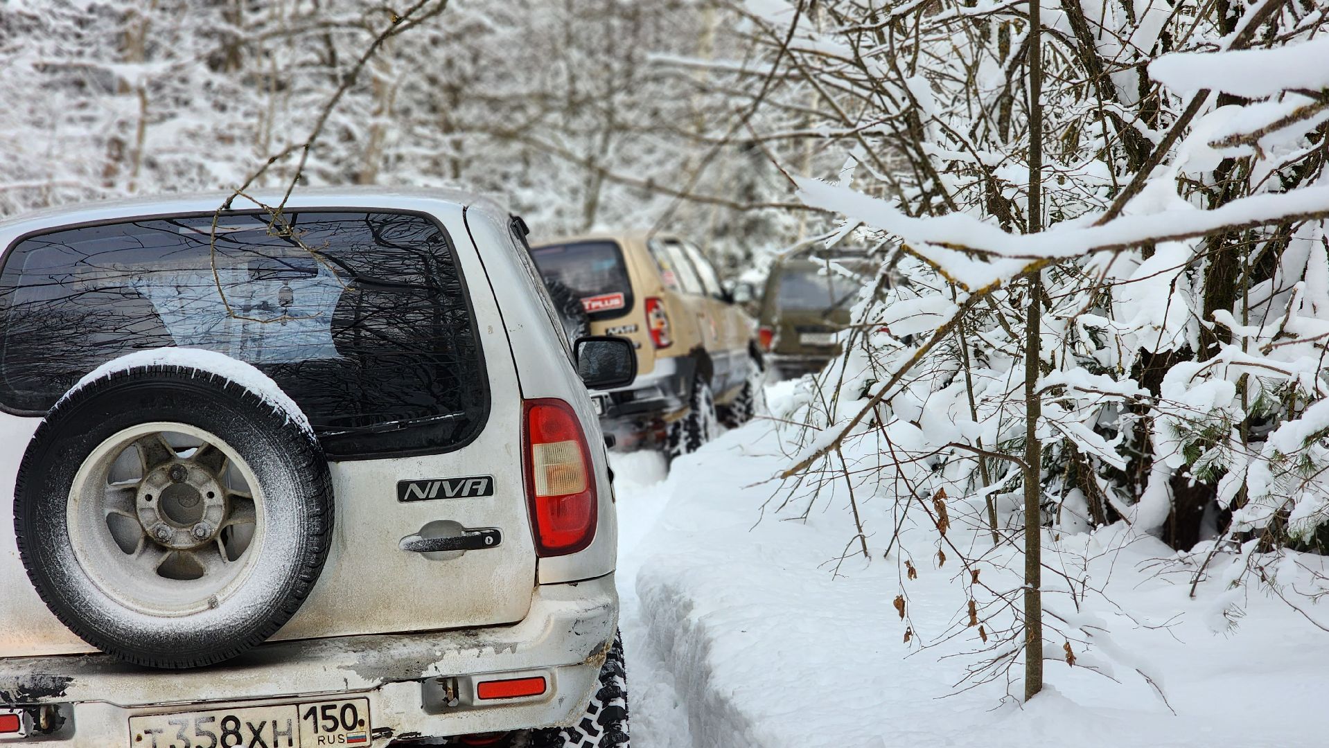 Ступино, Хард-драйв ступино, спорт подмосковья,