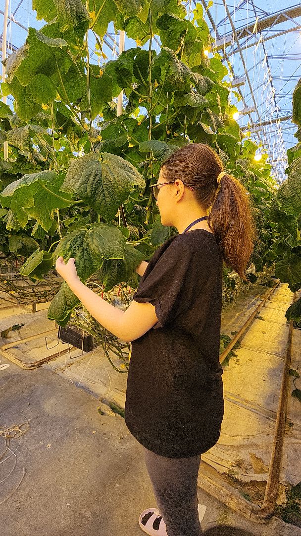 агрокластер, агрокомплекс, агроном, аграрии, агропромышленный холдинг, электросталь, электростальский колледж, мой город, студент, студенты, теплицы,