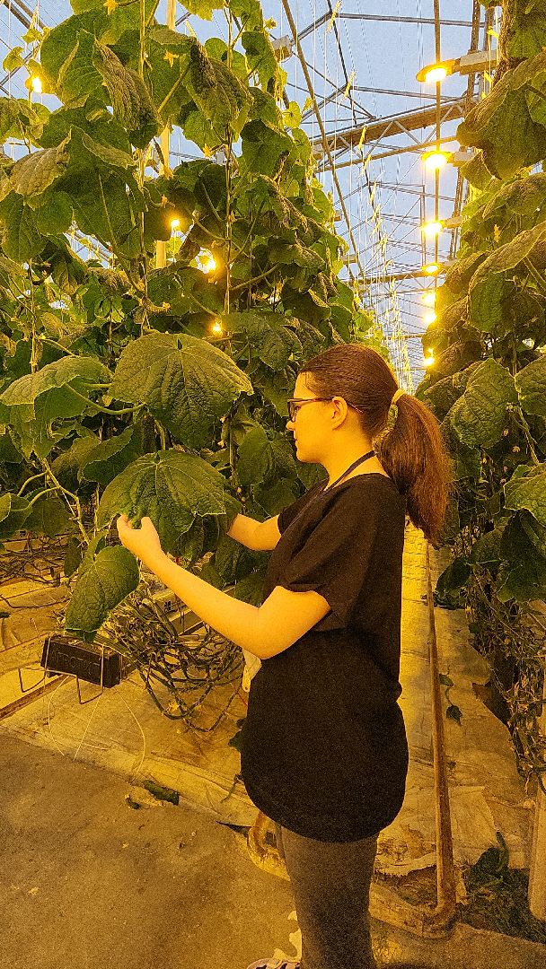 агрокластер, агрокомплекс, агроном, аграрии, агропромышленный холдинг, электросталь, электростальский колледж, мой город, студент, студенты, теплицы,