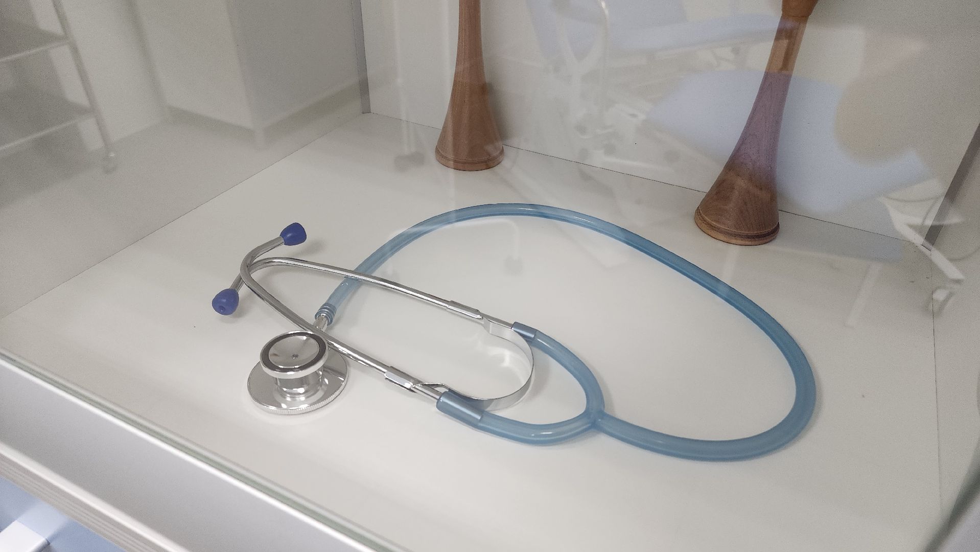 Егорьевск, Подмосковье, Московская область,первый модульный ФАП, Фельдшер,