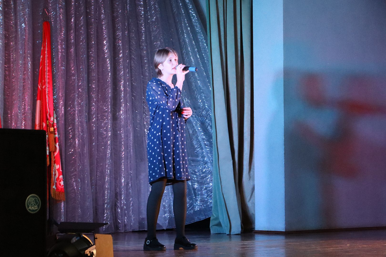 Сталинградская битва, Серебряные Пруды, Маршал Чуйков, внук Чуйкова, Баграмян,