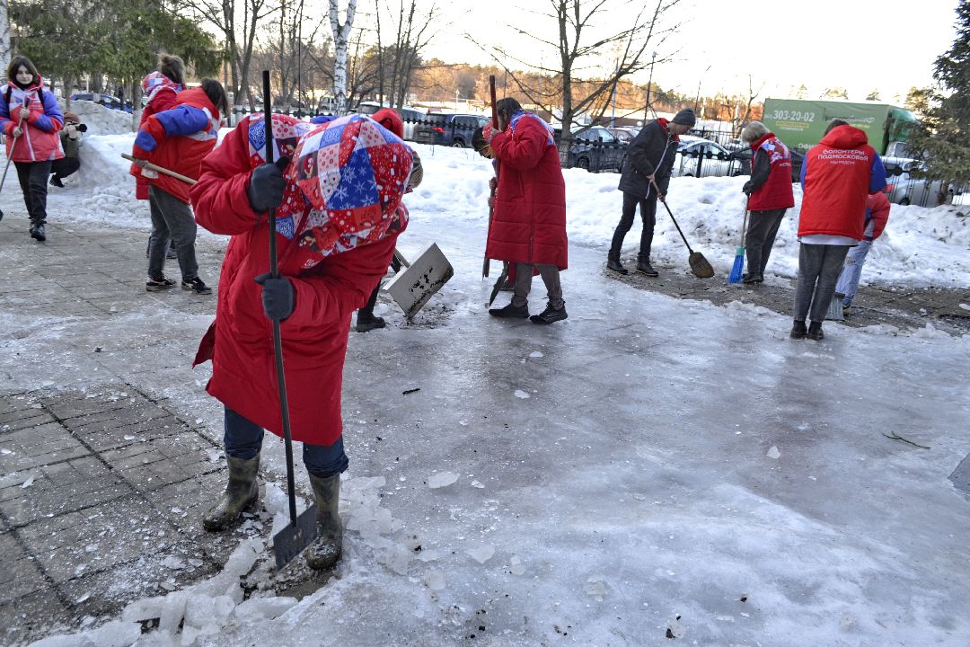 Балашиха, работа, молодежь, эколагерь, вакансия, молодёжный центр, волонтёры