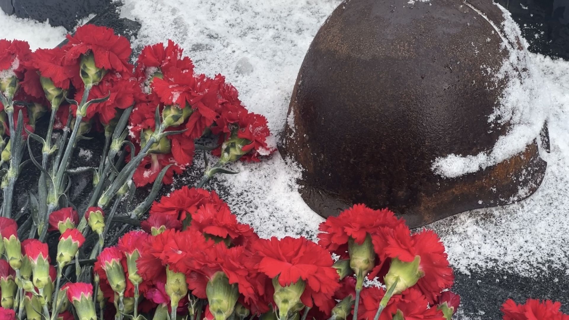 химки, памятник, возложение цветов, сталинградская битва, акция памяти, общество,