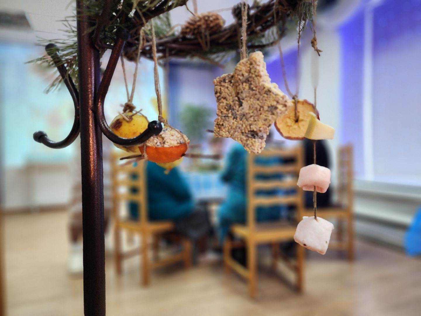 серпухов, экокормушка, птицы, пенсионеры, социальный центр,