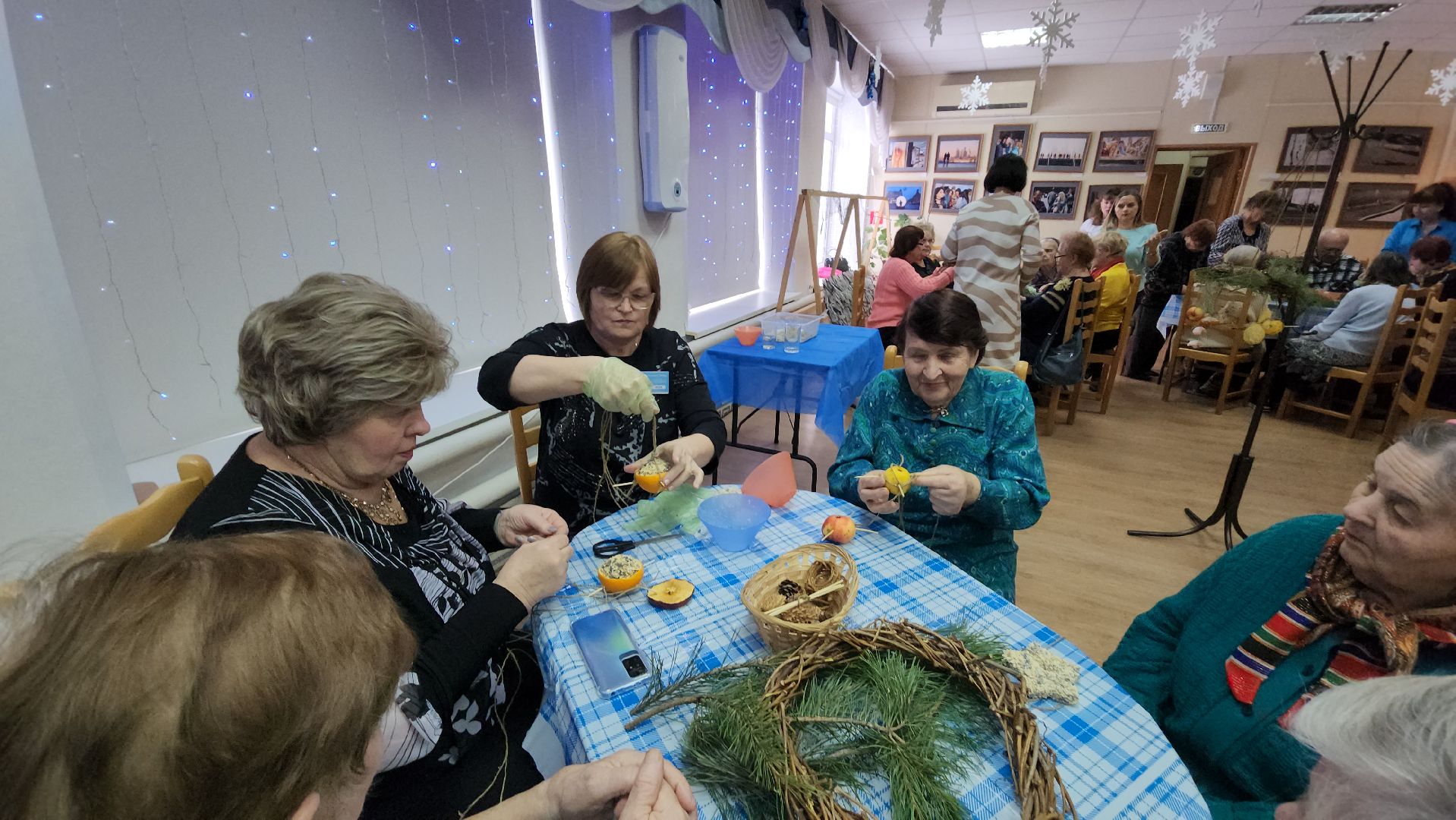 серпухов, экокормушка, птицы, пенсионеры, социальный центр,