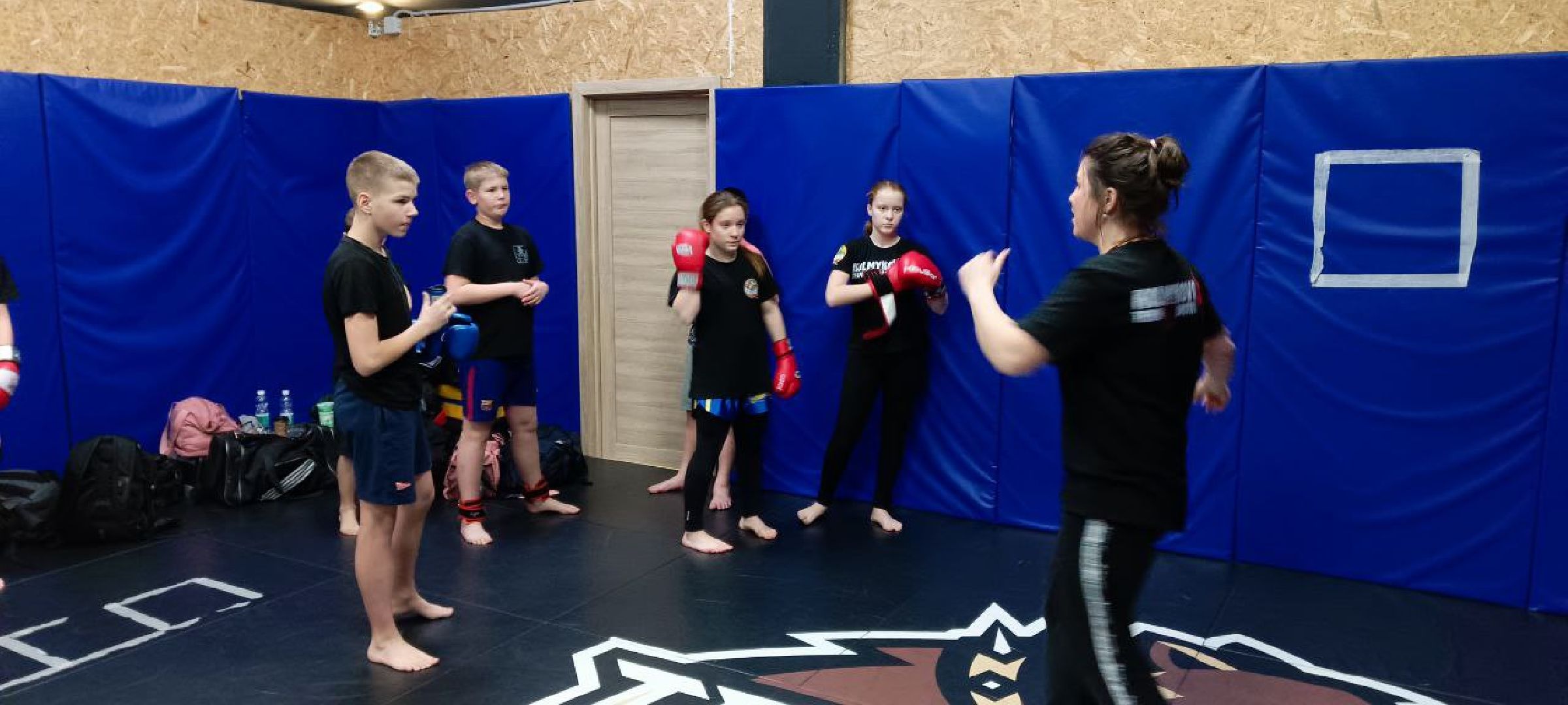 Дмитров, Дмитровская дружина, Минспорта,