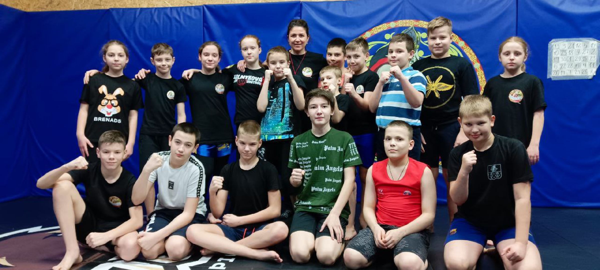 Дмитров, Дмитровская дружина, Минспорта,