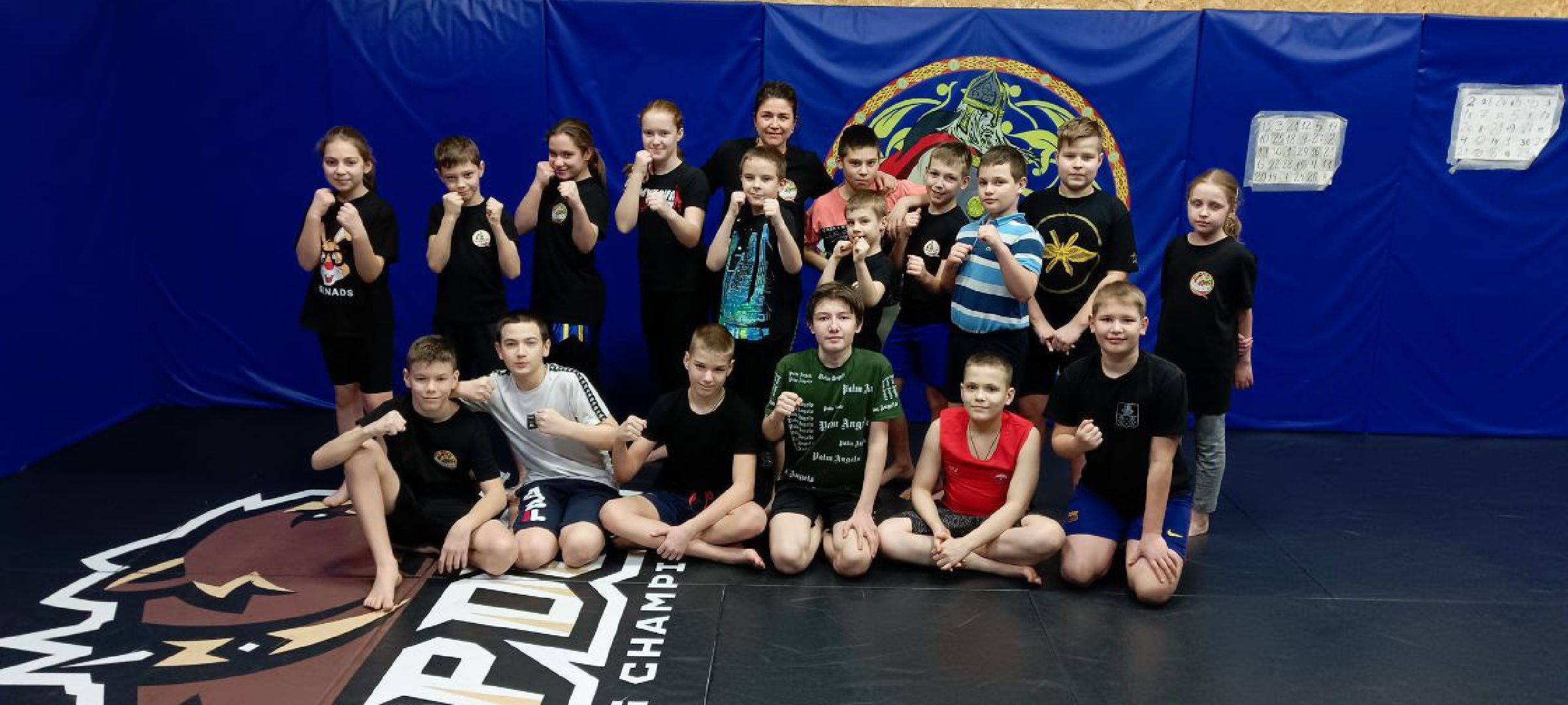 Дмитров, Дмитровская дружина, Минспорта,