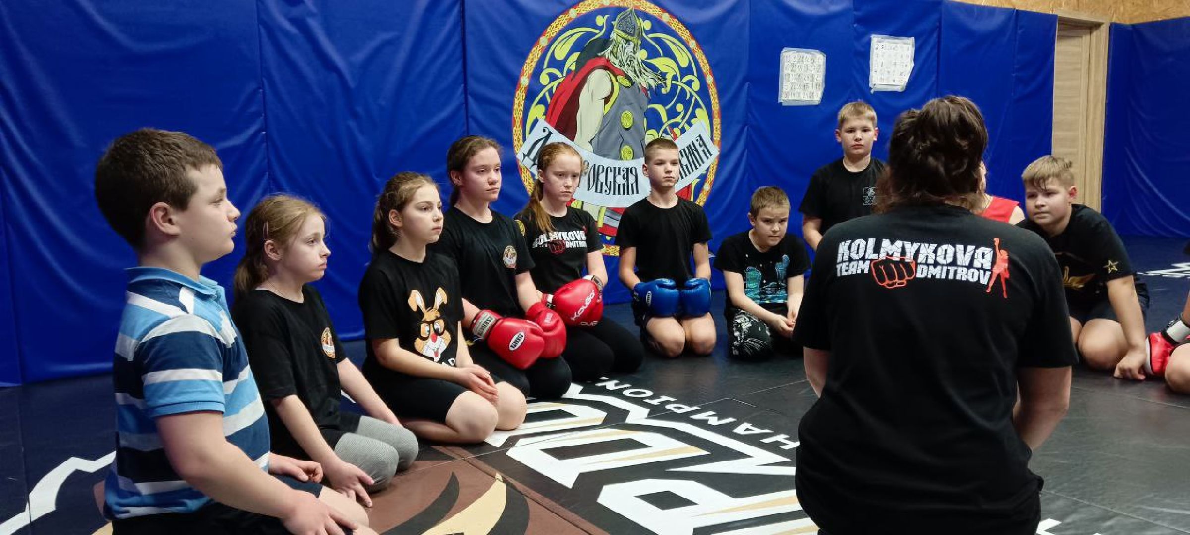 Дмитров, Дмитровская дружина, Минспорта,