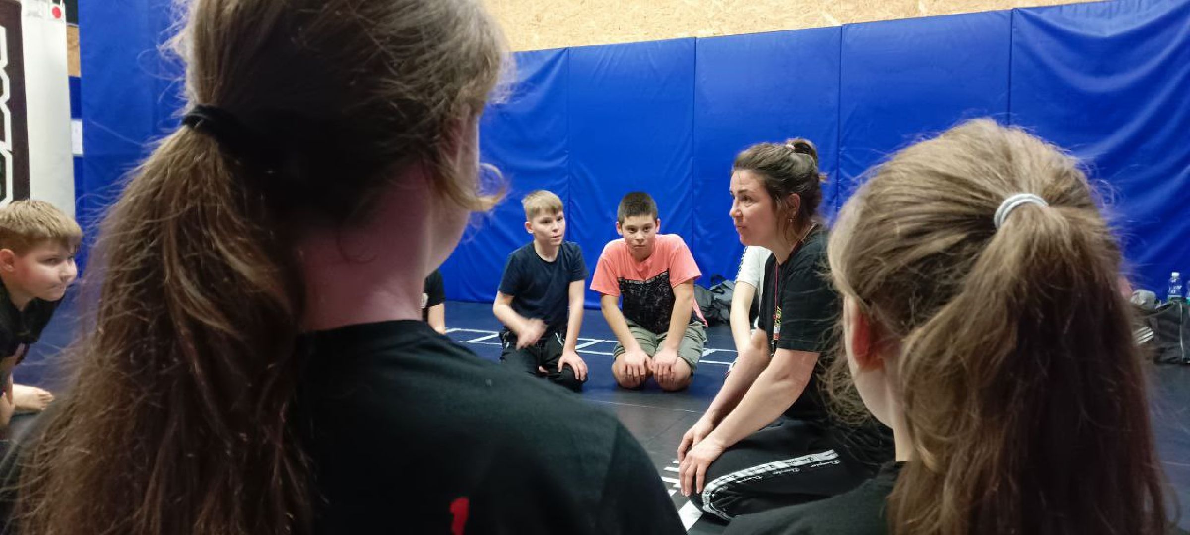 Дмитров, Дмитровская дружина, Минспорта,