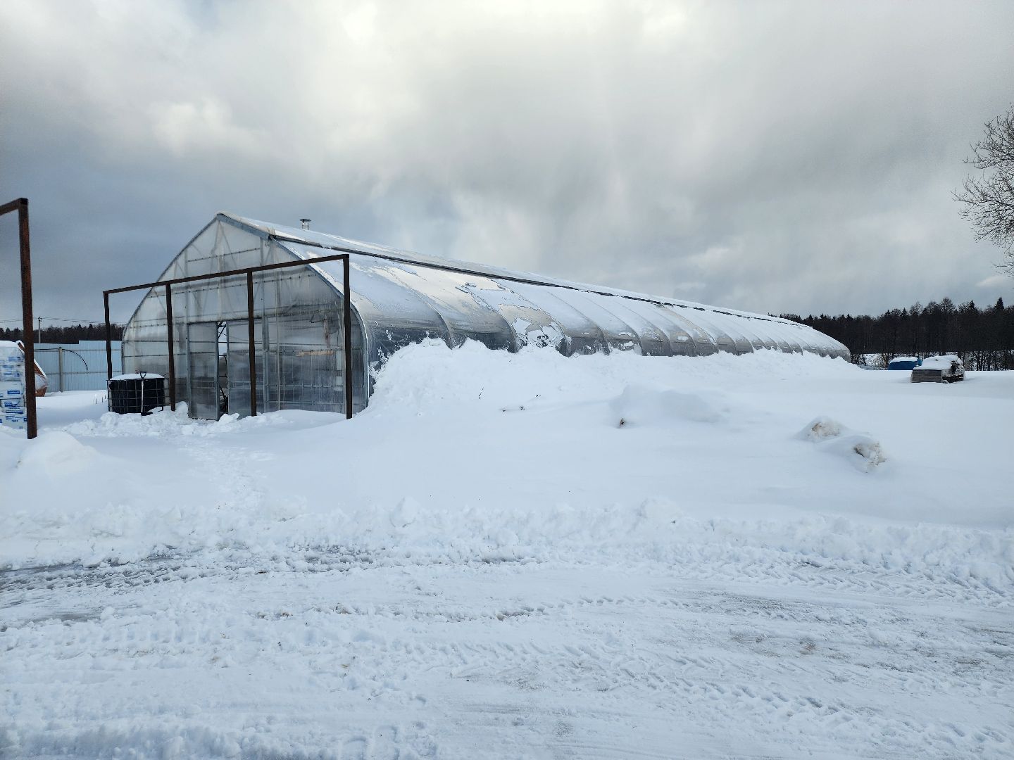 Звенигород, Сельское хозяйство,Фермерство,