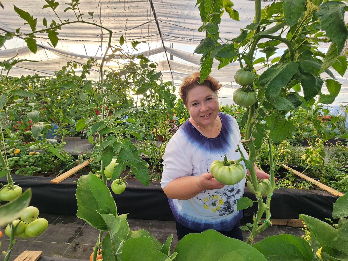 Звенигород, Сельское хозяйство,Фермерство,