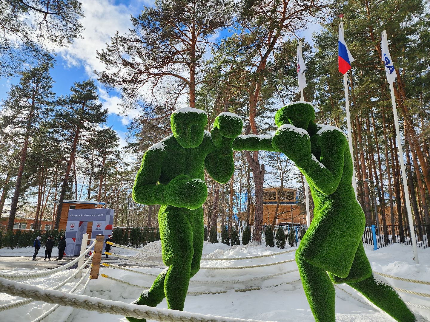 Серпухов, Подмосковье, Бокс, новые дисциплины, удар на силу, удар на скорость, IV Всероссийский боксерский Форум,