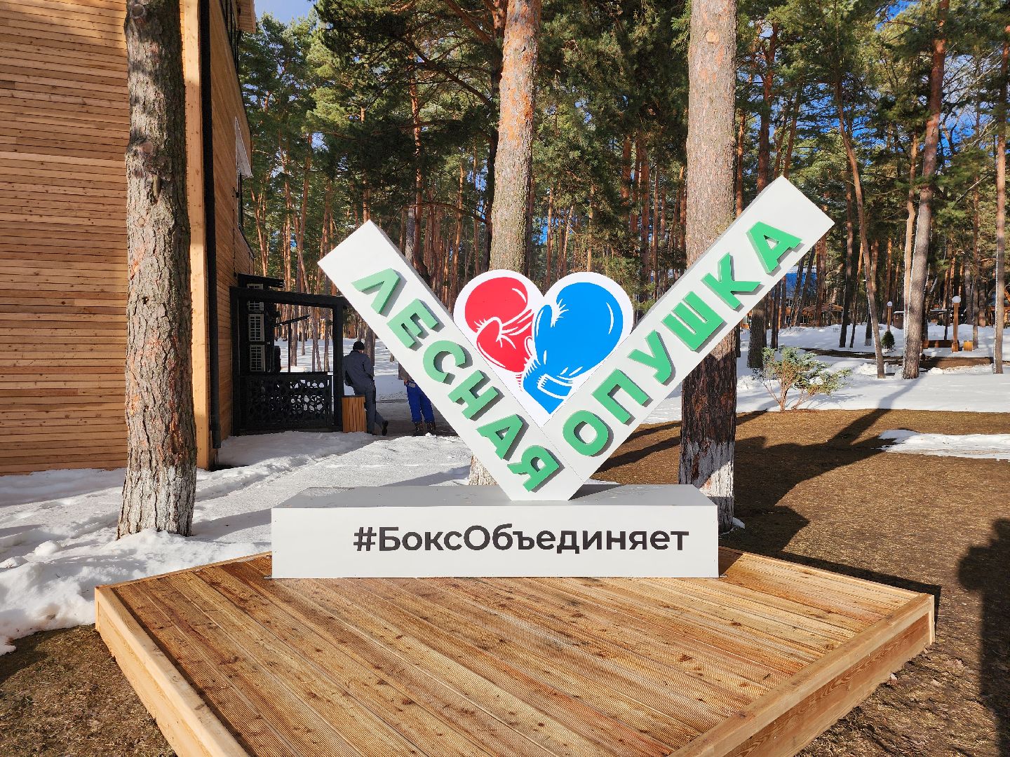 Серпухов, Подмосковье, новые дисциплины бокс, боксерский форум 2024, удар на силу,