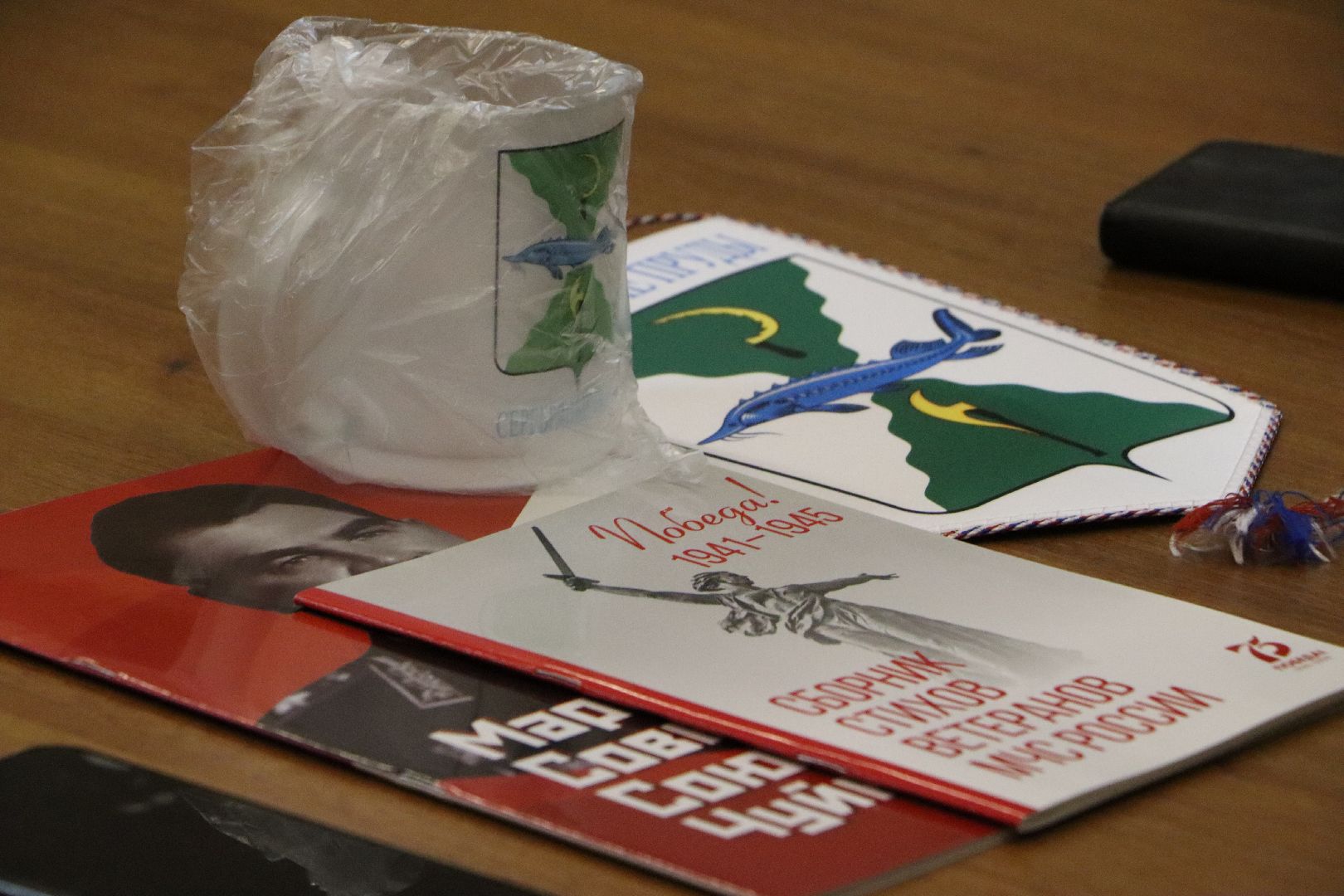 Линия жизни, Серебряные Пруды, лыжники, волонтеры, юнармейцы, патриотизм, ВОв,