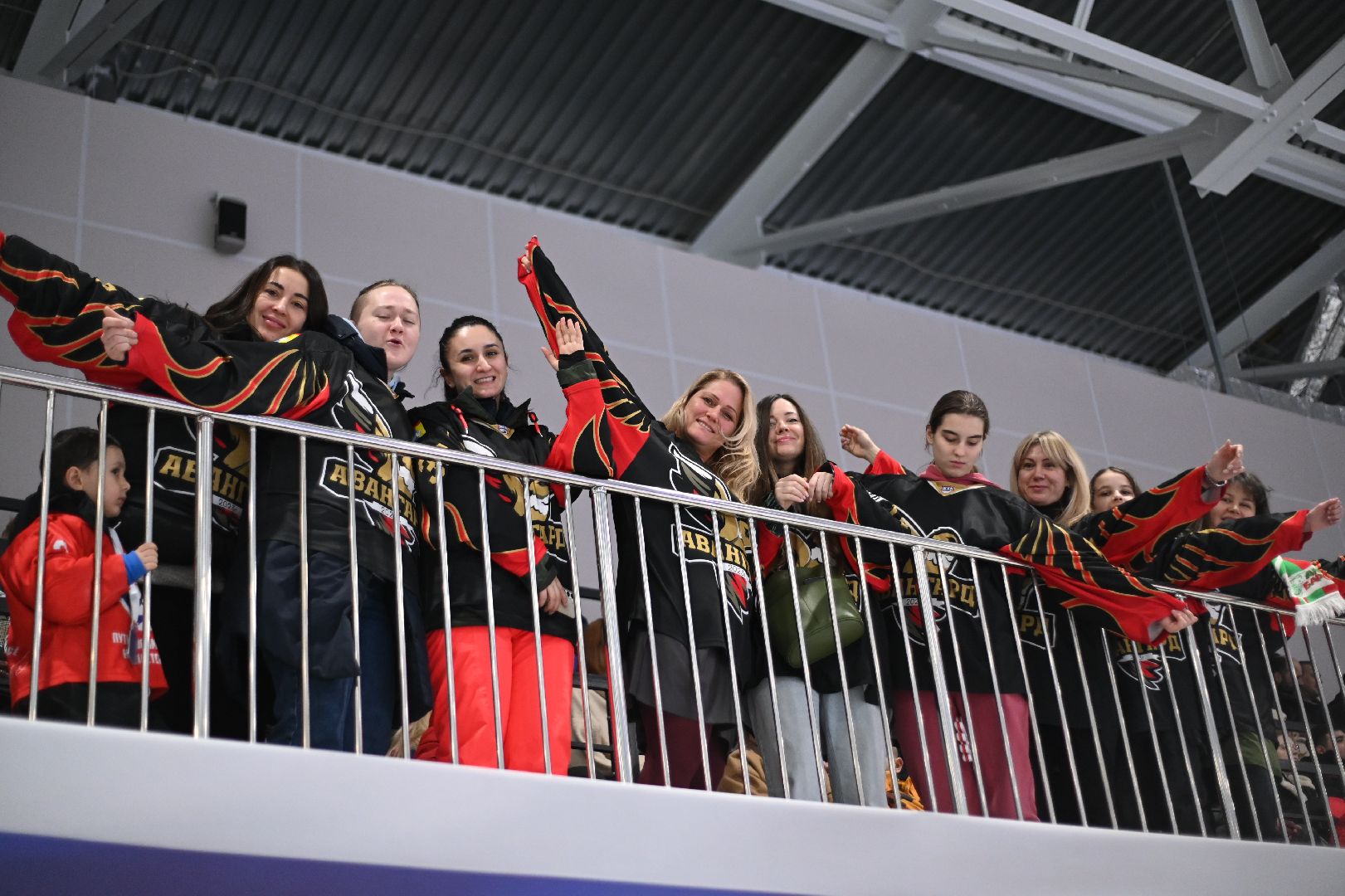 новый ФОК, крытый лед, губернатор Подмосковья, Владислав Фетисов, Домодедово,