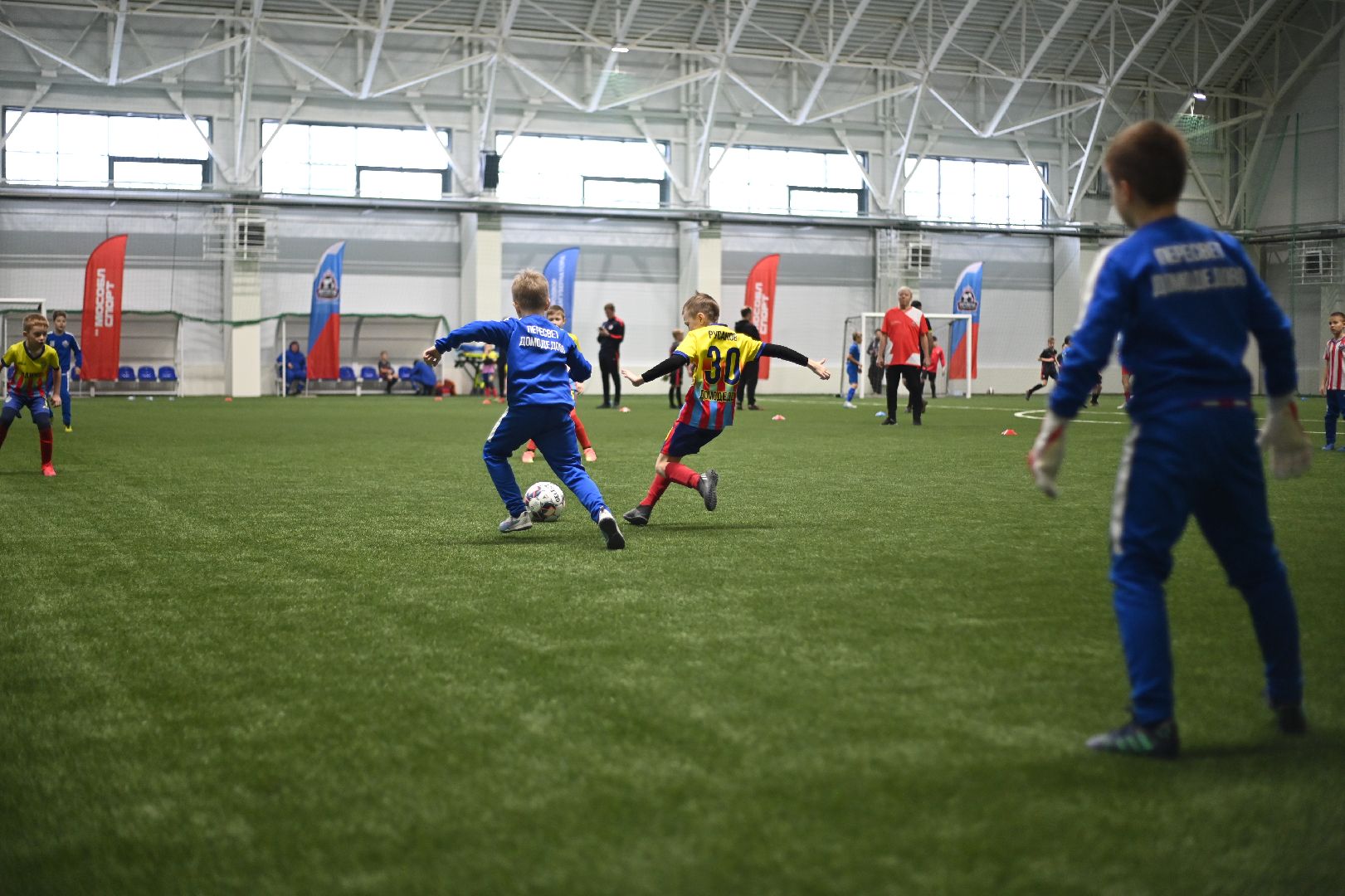 новый ФОК, крытый лед, губернатор Подмосковья, Владислав Фетисов, Домодедово,