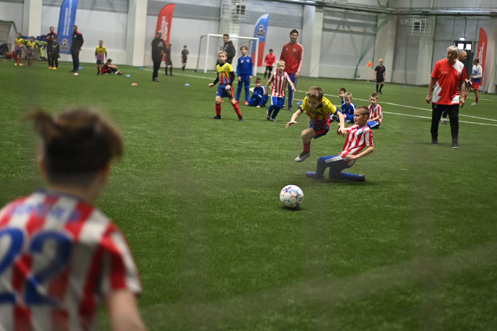 новый ФОК, крытый лед, губернатор Подмосковья, Владислав Фетисов, Домодедово,