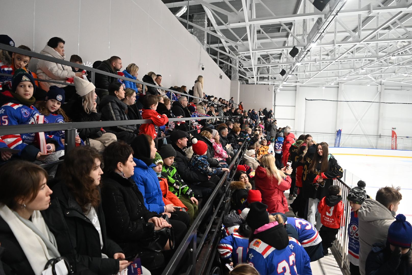 новый ФОК, крытый лед, губернатор Подмосковья, Владислав Фетисов, Домодедово,