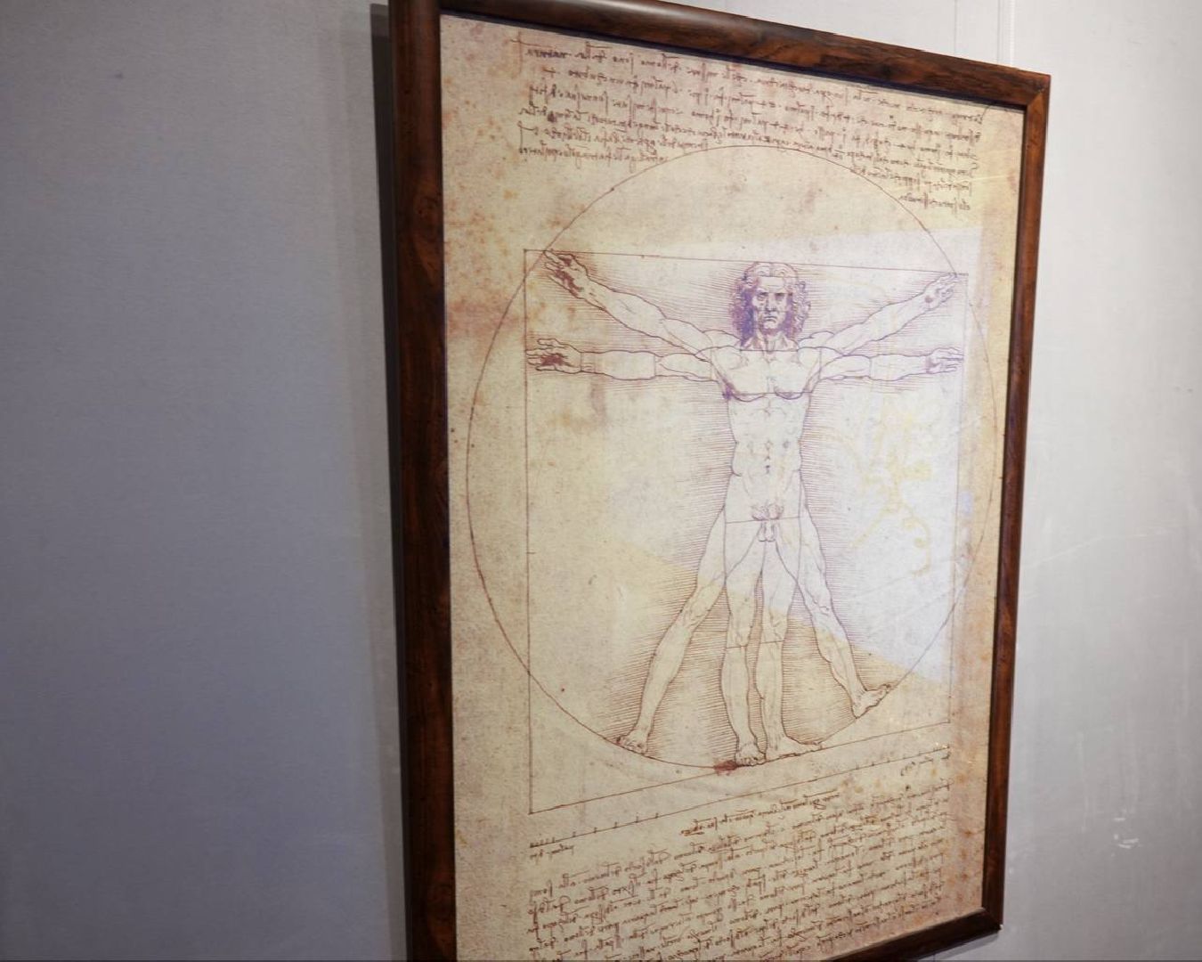 Сергиево-Посадский городской округ, Сергиев Посад, Сергиево-Посадский музей-заповедник, Культура, Музей РФ, Леонардо да Винчи, Творчество, Искусство, РГГУ, Общество,