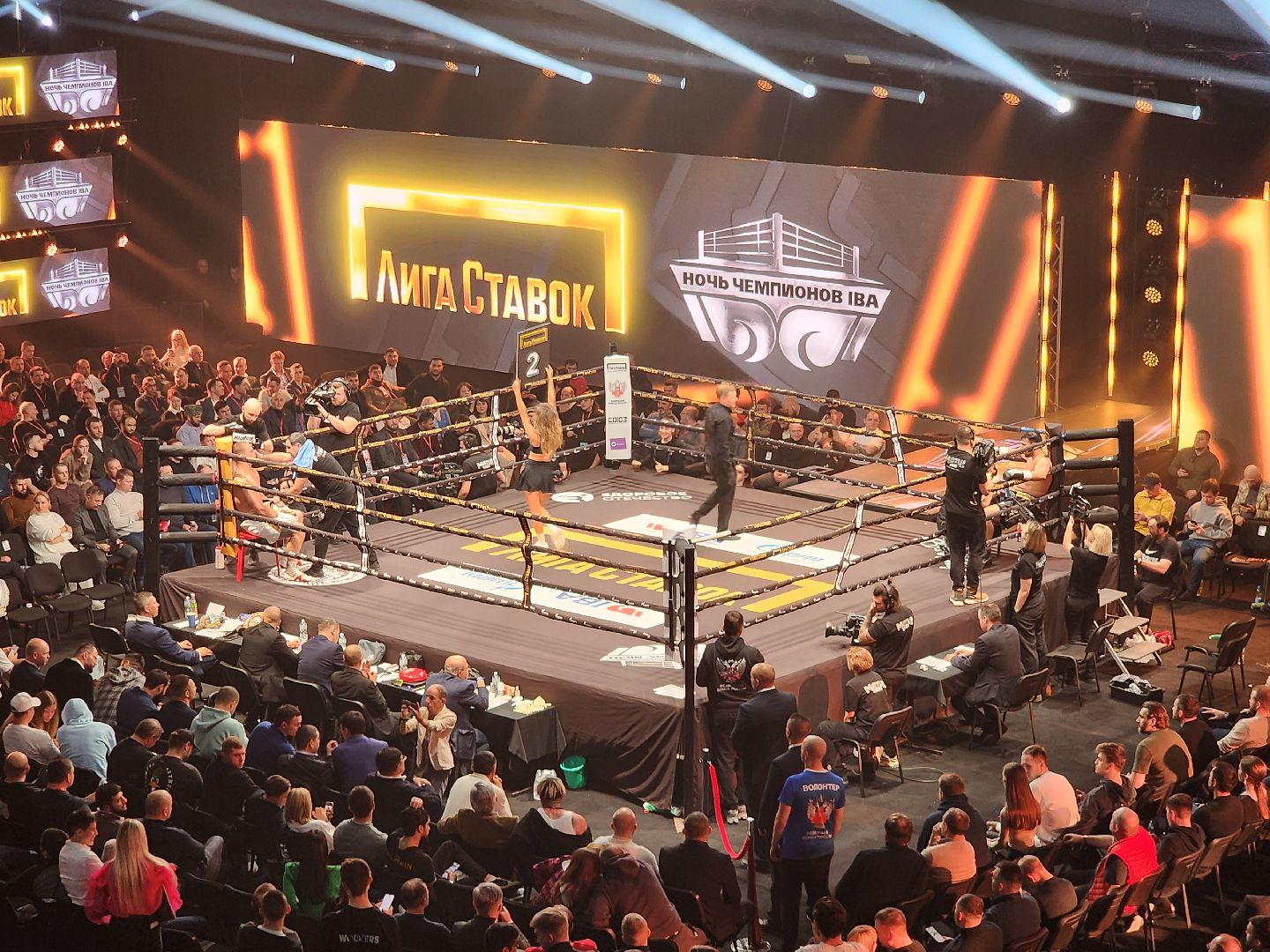 серпухов, подмосковье, сб лесная опушка, шумков, Сусленков, Сосулин, федерация бокса россии,