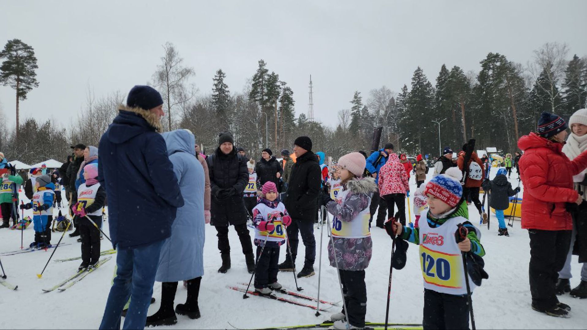 мытищи, мытищинский лесопарк, Мытищинская лыжня, Мытищинская лыжня 2024, игорь рысин, Александр Попугаев, Лыжи, Зима в Подмосковье,