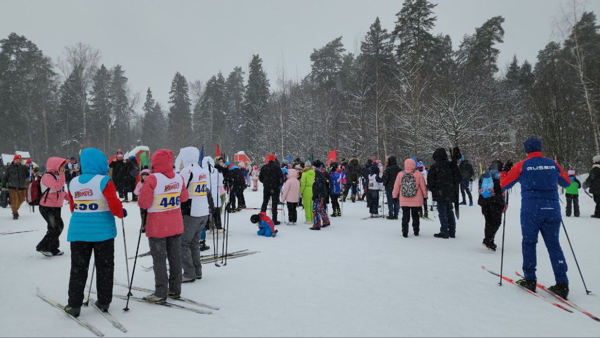 мытищи, мытищинский лесопарк, Мытищинская лыжня, Мытищинская лыжня 2024, игорь рысин, Александр Попугаев, Лыжи, Зима в Подмосковье,