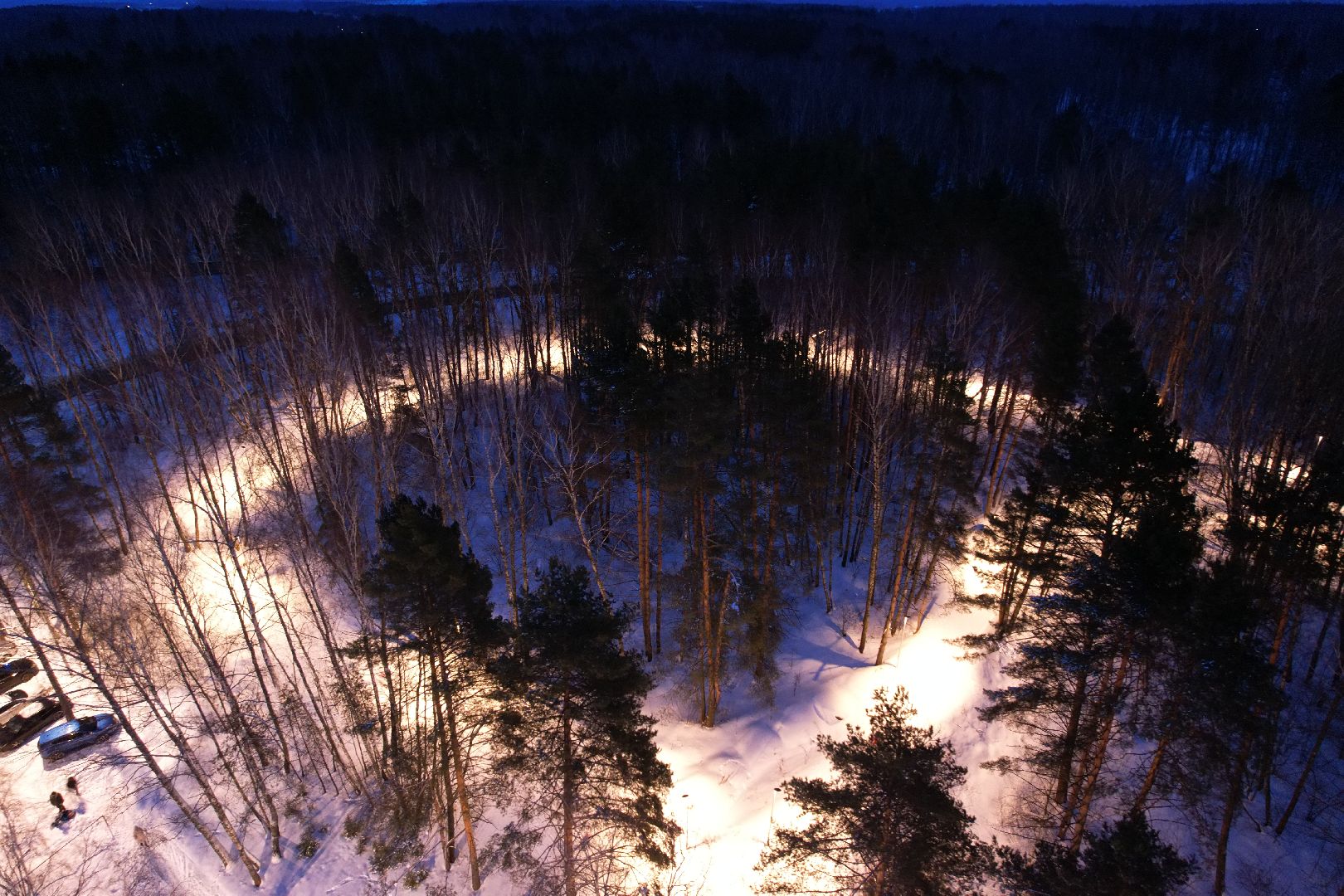 видео с коптера, пущино, лыжня,