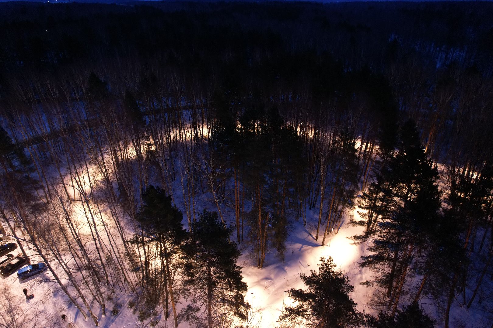 видео с коптера, пущино, лыжня,