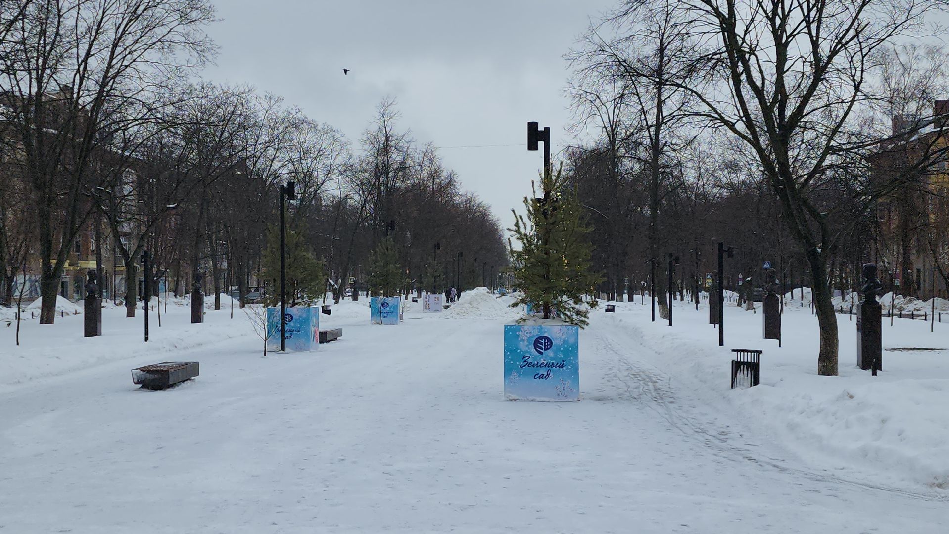 новый год, бульвар Маяковского, елка, улица Фрунзе, Дед Мороз, гирлянды, МБУ Городское хозяйство,сквер 28 квартал,