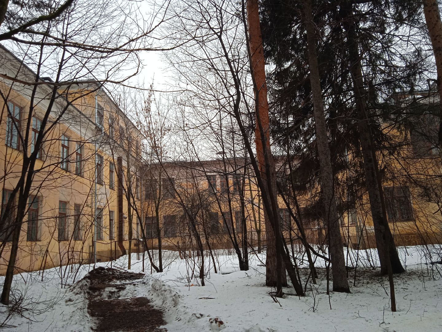 Суздаль, кикбокиснг, лоу-кик, фулл-контакт, лайт-кик, Капичникова, Лапенков, Росихин, Мастер спорта,