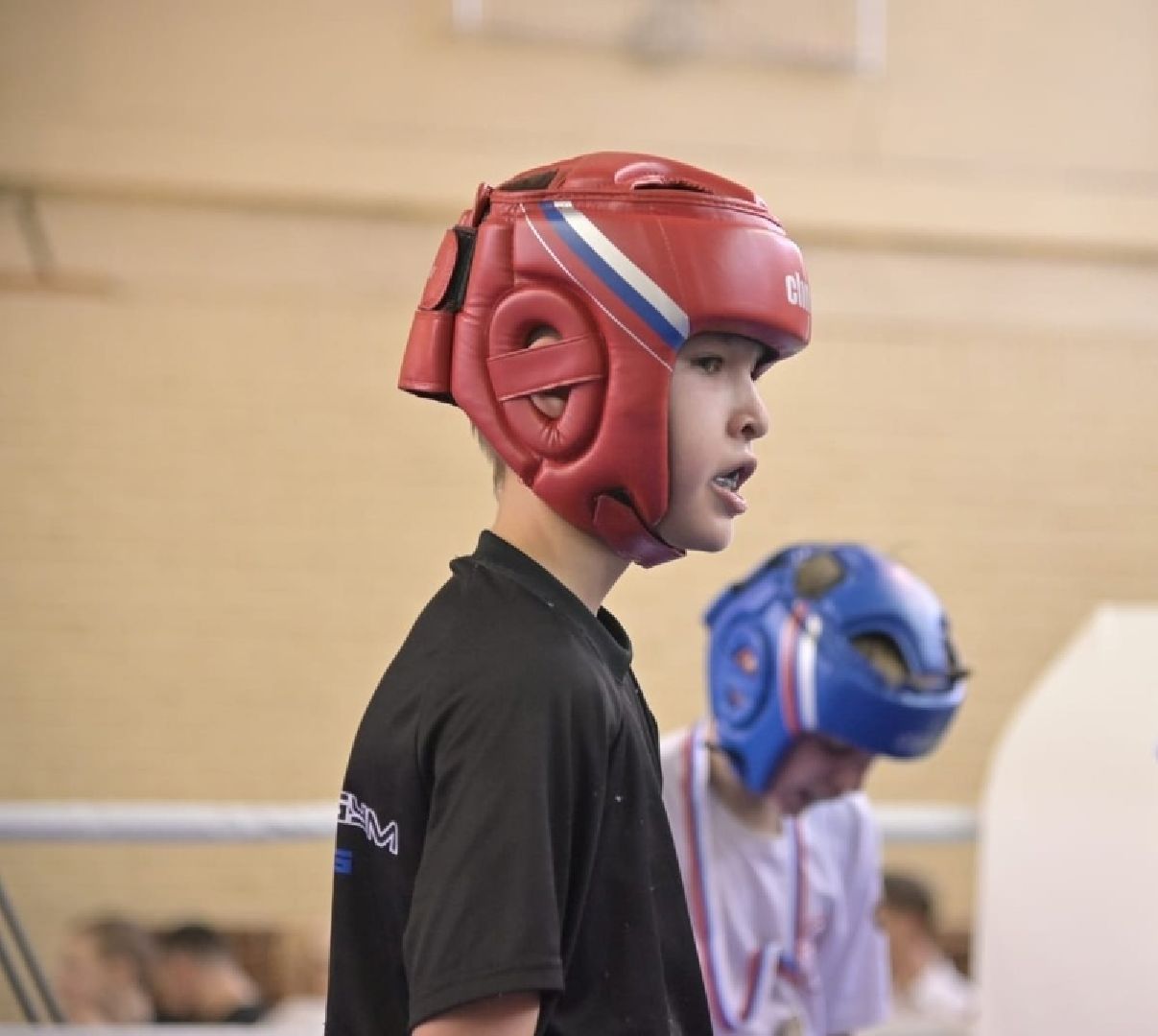 Суздаль, кикбокиснг, лоу-кик, фулл-контакт, лайт-кик, Капичникова, Лапенков, Росихин, Мастер спорта,