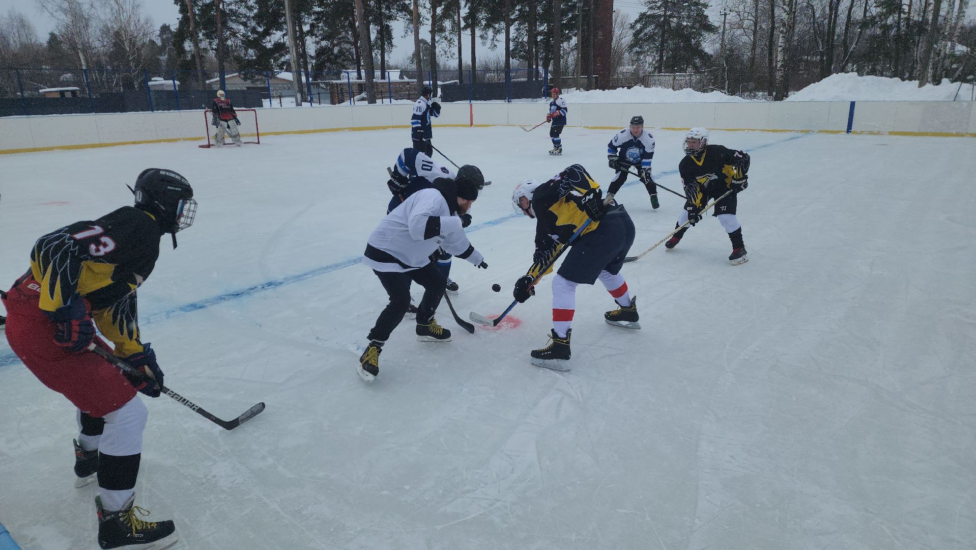 шатура, ястребы, озеро белое, хоккей, спорт подмосковья, зима в подмосковье, городской округ спорт,