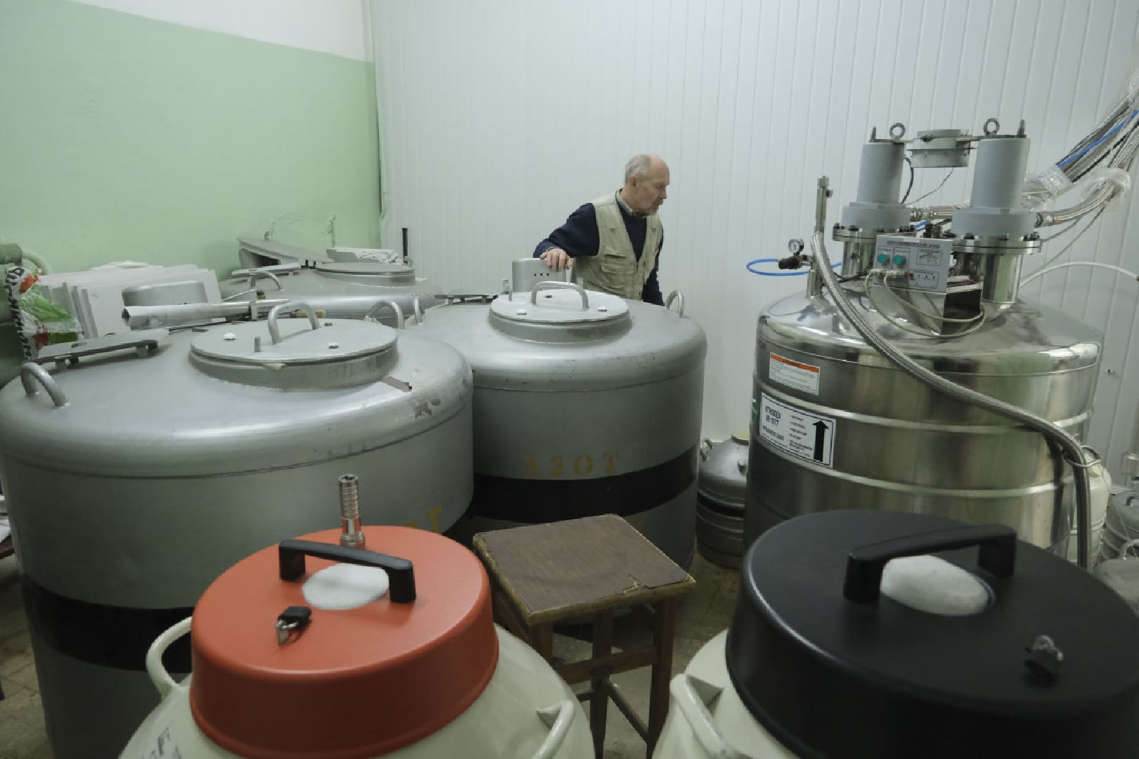 пущино, наука, ученые, животные,