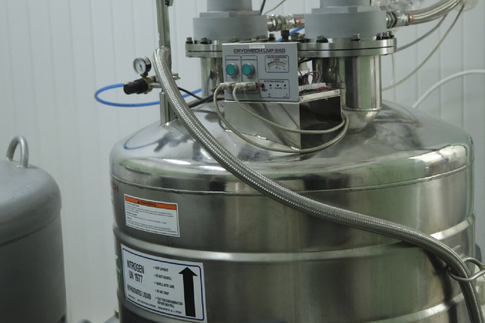 пущино, наука, ученые, животные,