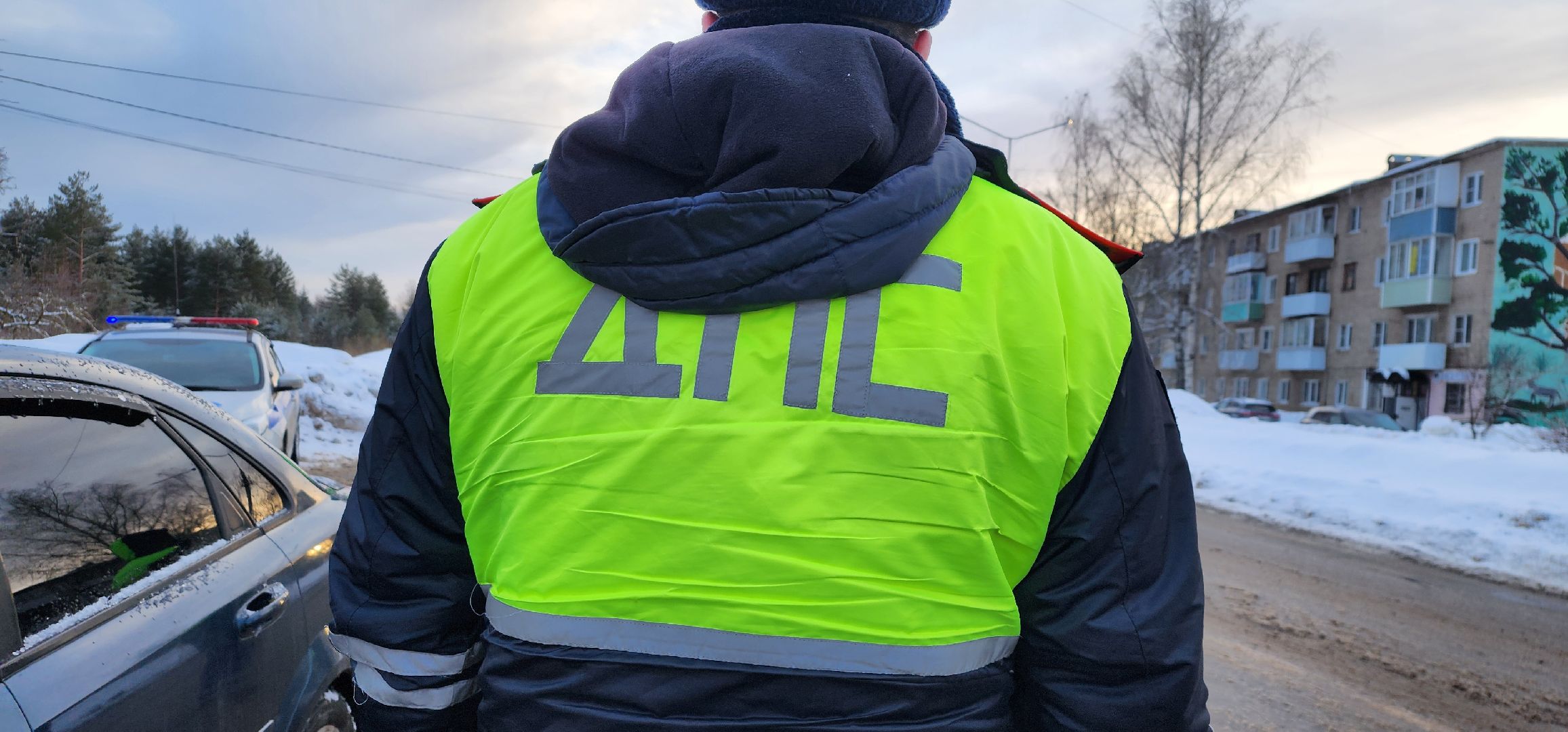 тотальный рейд, Детское автокресло, Шатура, ДПС, безопасность, маленькие пассажиры,