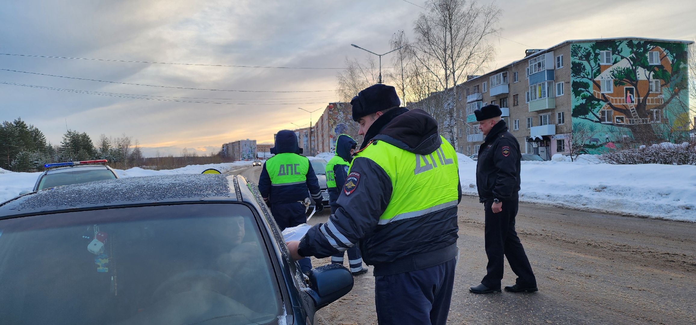 тотальный рейд, Детское автокресло, Шатура, ДПС, безопасность, маленькие пассажиры,