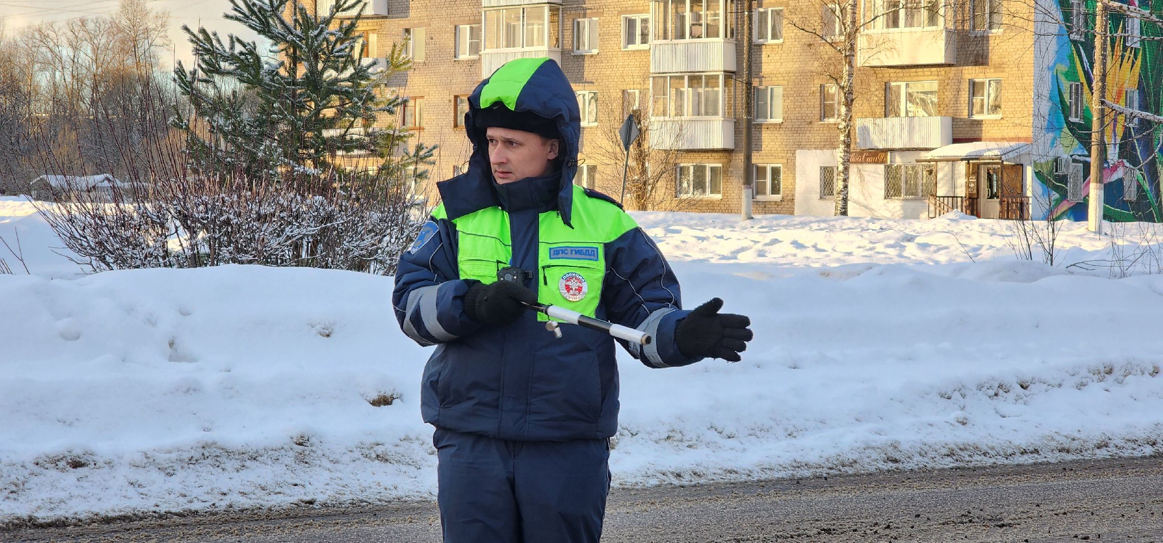 тотальный рейд, Детское автокресло, Шатура, ДПС, безопасность, маленькие пассажиры,