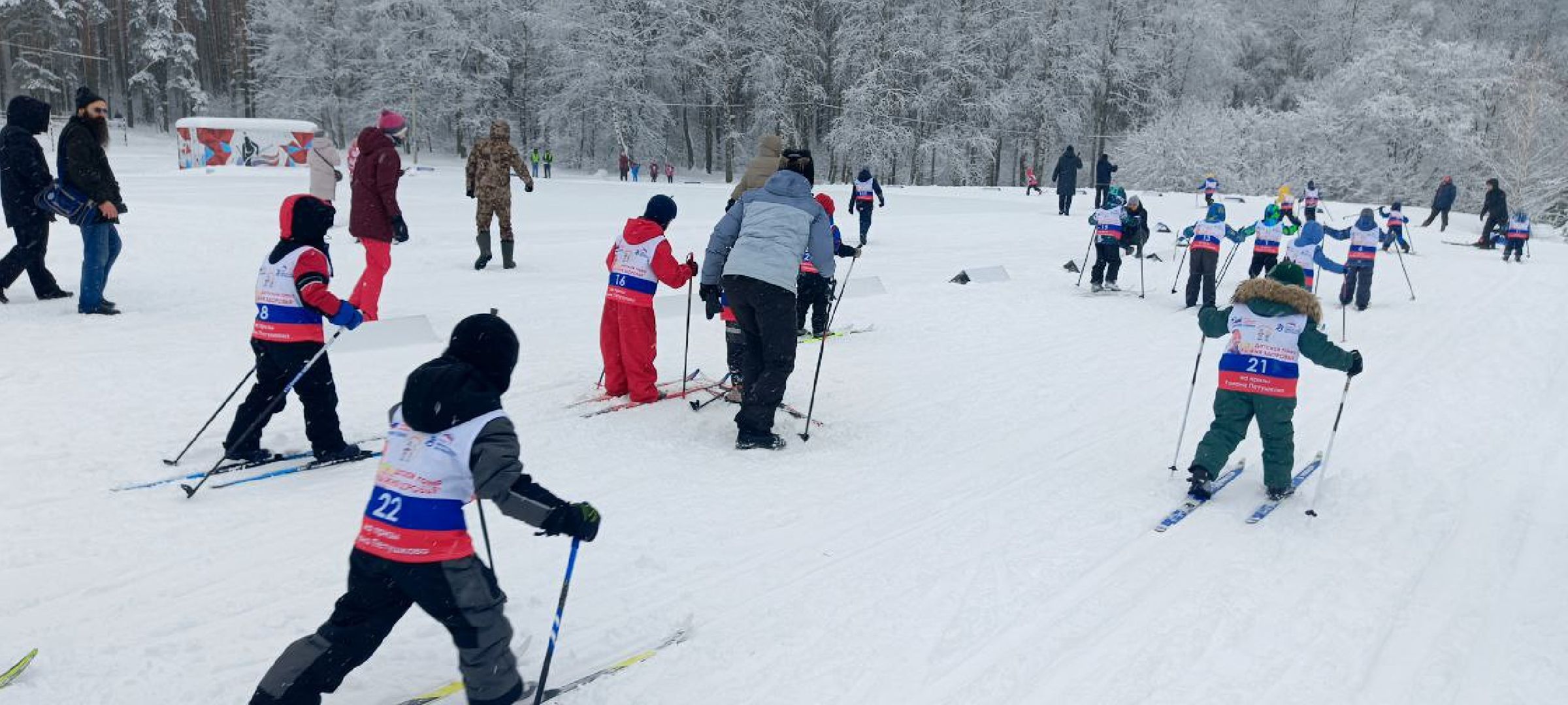 Дмитров, Лыжня здоровья, Минспорта,
