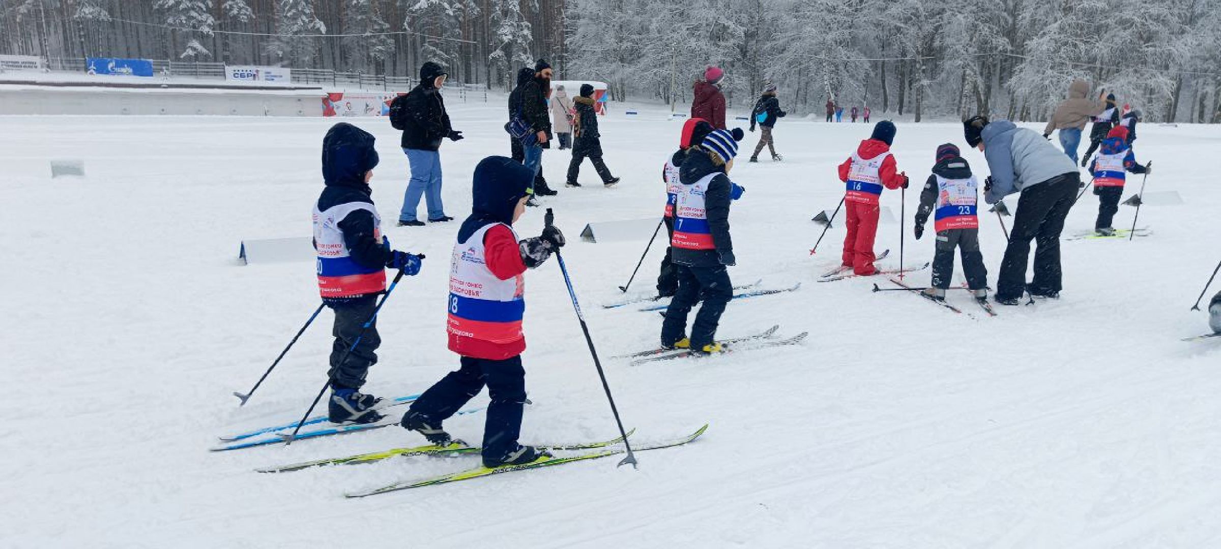 Дмитров, Лыжня здоровья, Минспорта,