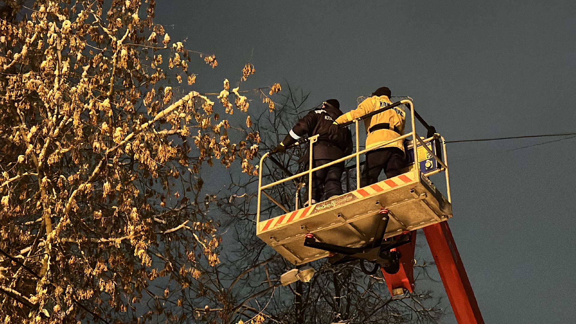 Клин, общество, спасатели, животные,