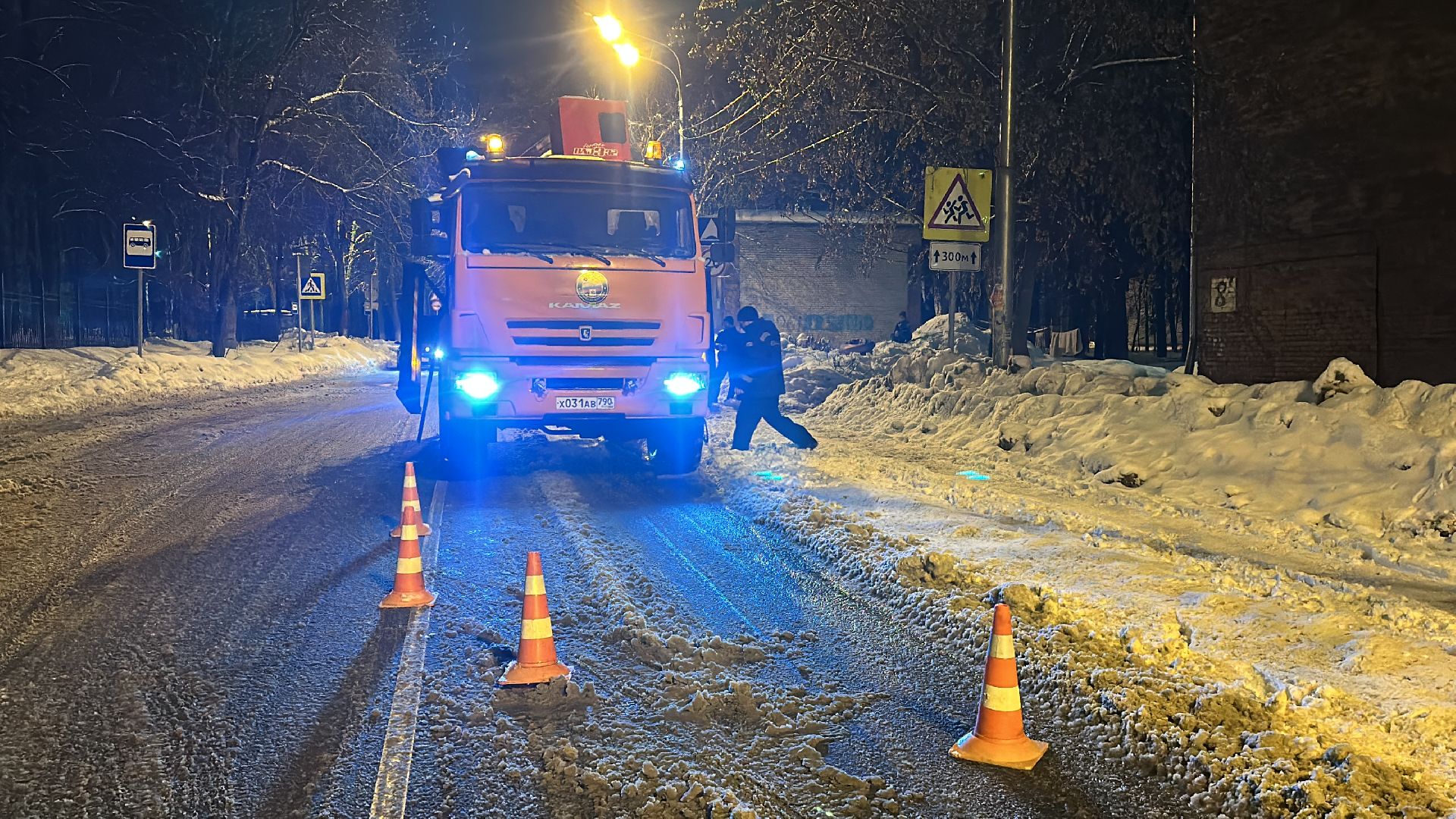 Клин, общество, спасатели, животные,