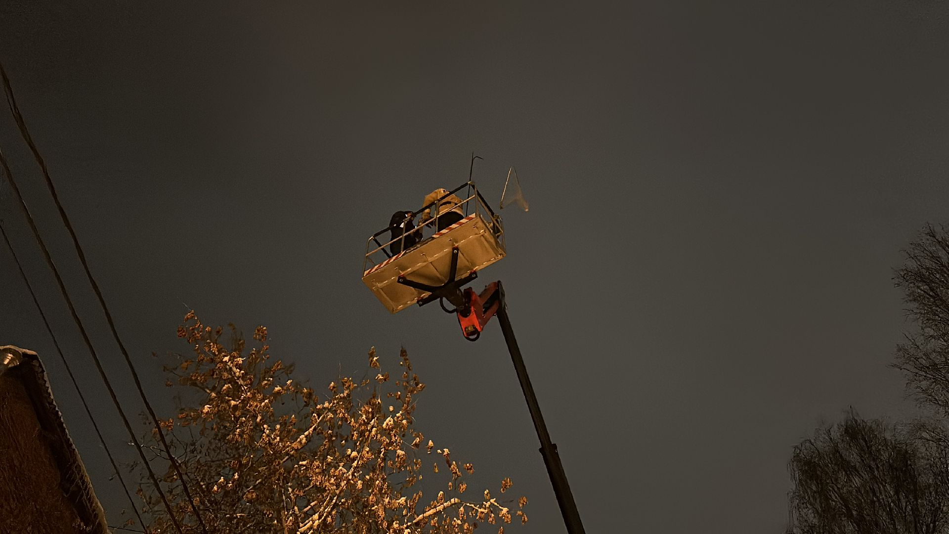 Клин, общество, спасатели, животные,