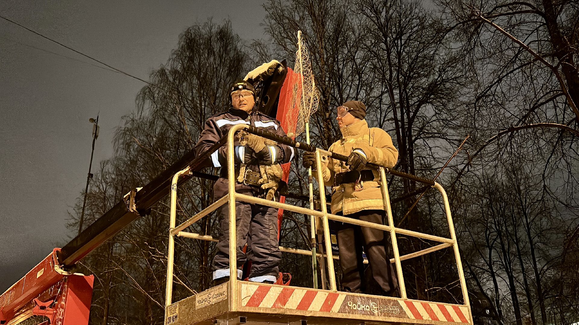 Клин, общество, спасатели, животные,