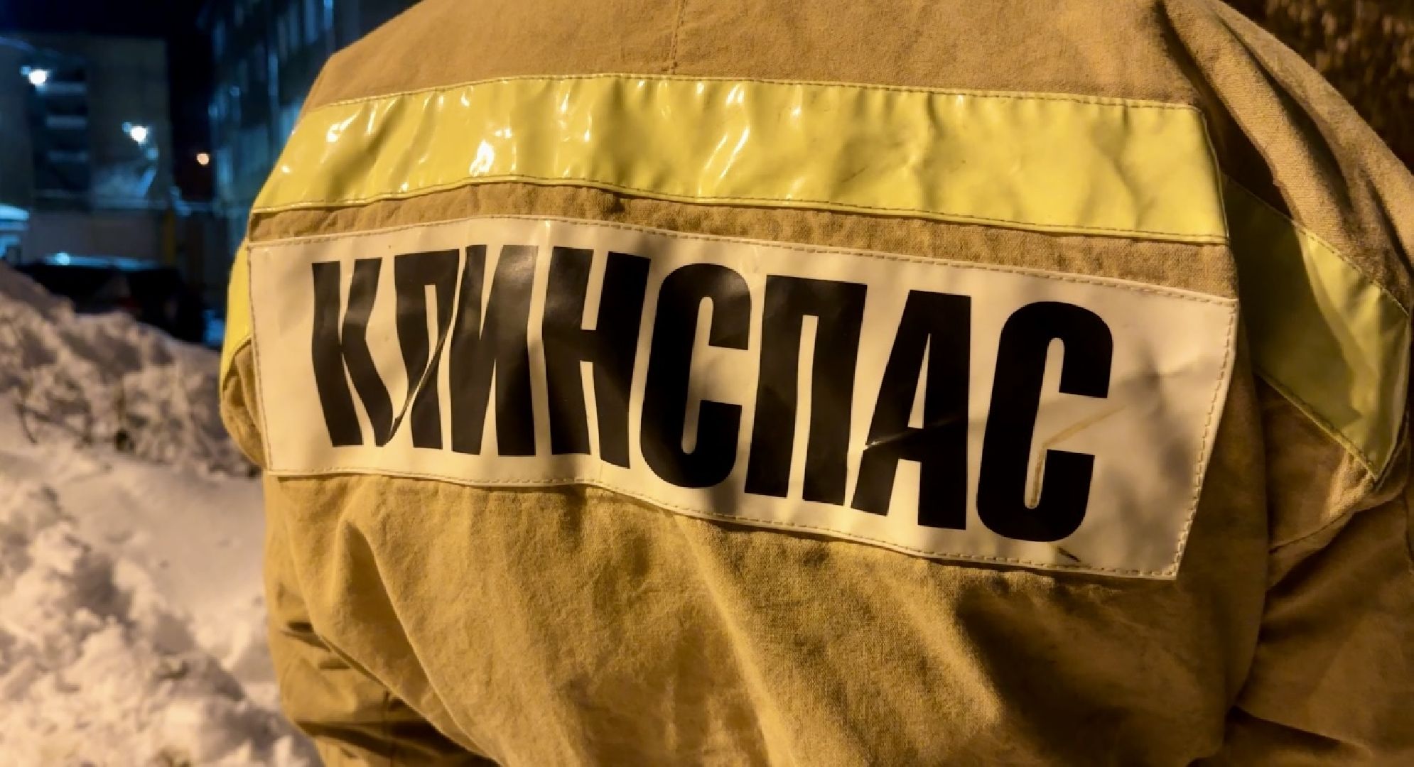 Клин, общество, спасатели, животные,