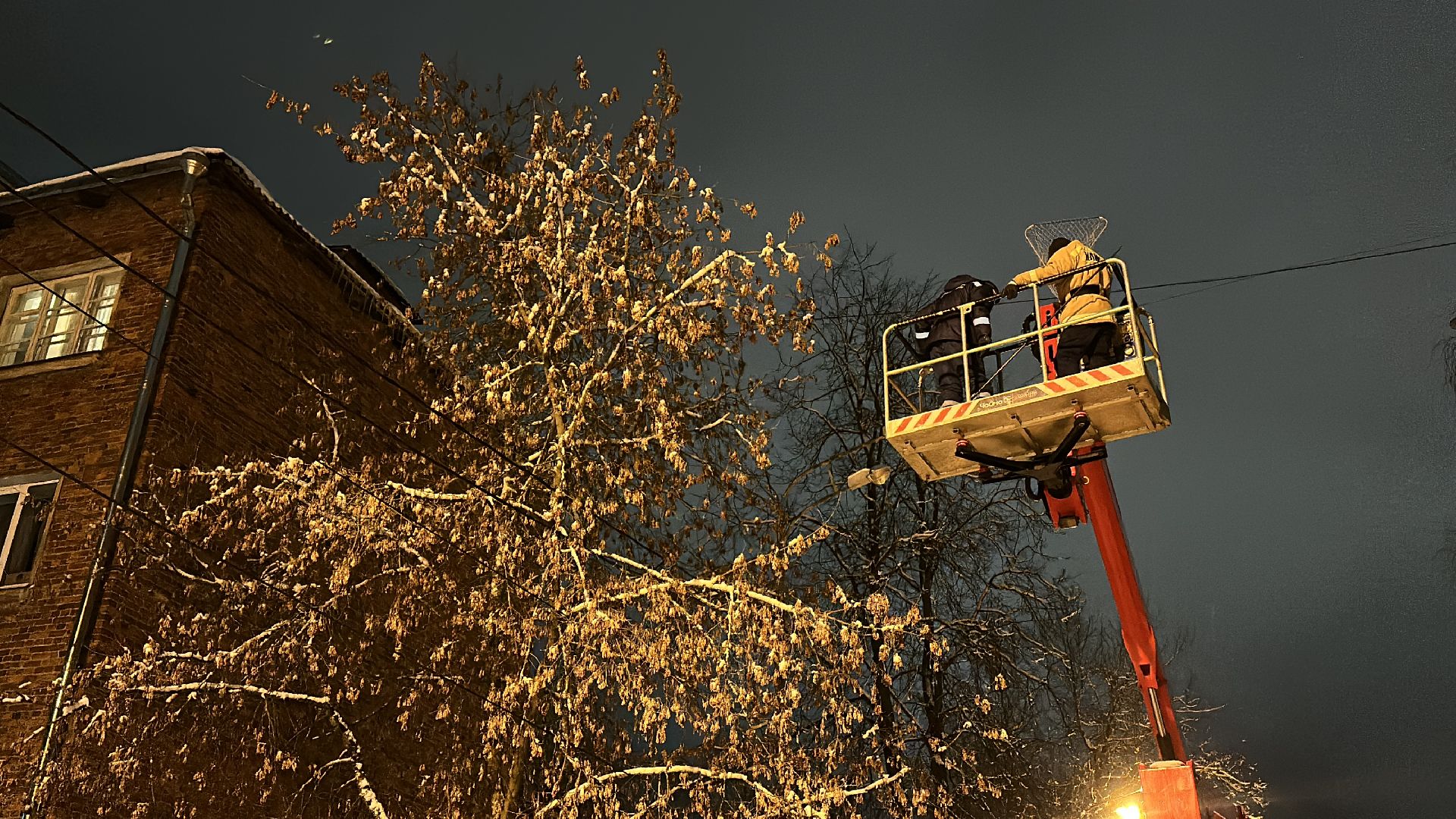 Клин, общество, спасатели, животные,